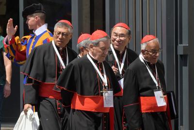 ITALY -  CARDINAL LEAVE AFTER THE MEETING OF THE GENERAL CONGREGATION OD CARDINALS IN VATICAN CITY- 2025/5/2-stock-foto