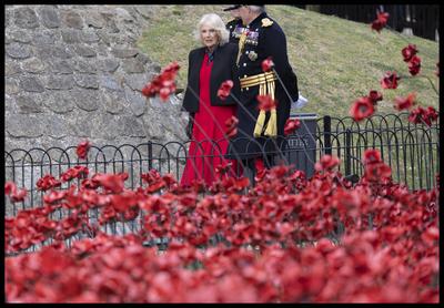 Queen Camilla views a new display of ceramic poppies-stock-foto
