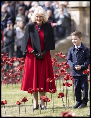 Queen Camilla views a new display of ceramic poppies-stock-foto