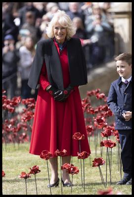 Queen Camilla views a new display of ceramic poppies-stock-foto