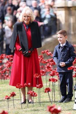 Queen Camilla views a new display of ceramic poppies-stock-foto