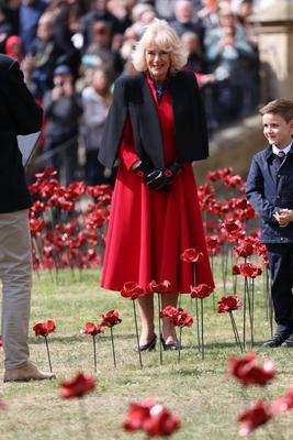 Queen Camilla views a new display of ceramic poppies-stock-foto
