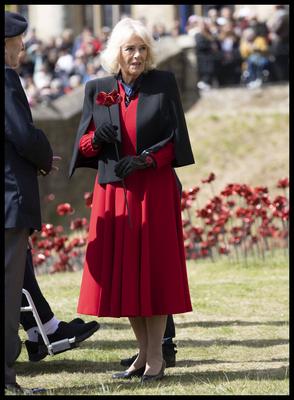 Queen Camilla views a new display of ceramic poppies-stock-foto