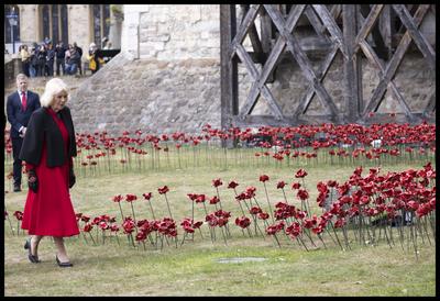 Queen Camilla views a new display of ceramic poppies-stock-foto