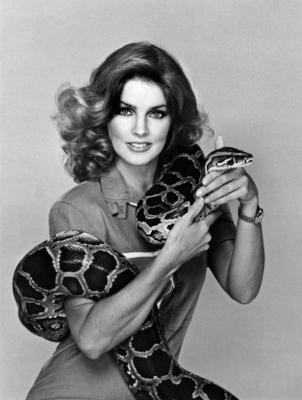 Studio Publicity Still from Those Amazing Animals Priscilla Presley 1980 Los Angeles CA USA PUBLICAT-stock-photo