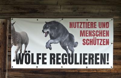 Poster zur Unterst?tzung der Bejagung des Wolfes zum Schutz von Menschen und Nutztieren, Naters, Wallis, Schweiz *** Pos-stock-foto