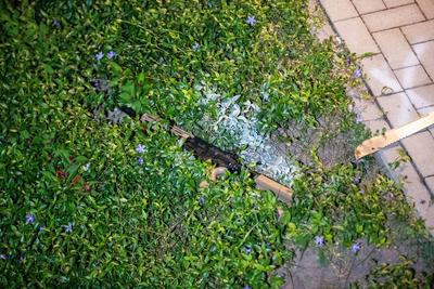 Schusswechsel mit Sturmgewehr - Polizei schie?t 26-j?hrigen Mann in Billerbeck an - 26-j?hriger schwer verletzt-stock-foto