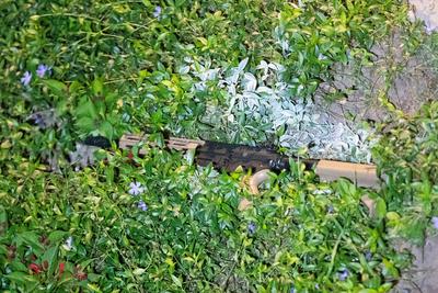Schusswechsel mit Sturmgewehr - Polizei schie?t 26-j?hrigen Mann in Billerbeck an - 26-j?hriger schwer verletzt-stock-foto