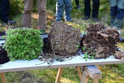 Wissenschaftliche Tagung beleuchtet bisherige Erkenntnisse der Moorrevitalisierung im Erzgebirge-stock-photo