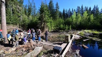 Wissenschaftliche Tagung beleuchtet bisherige Erkenntnisse der Moorrevitalisierung im Erzgebirge-stock-photo