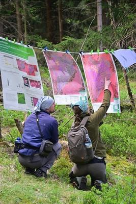 Wissenschaftliche Tagung beleuchtet bisherige Erkenntnisse der Moorrevitalisierung im Erzgebirge-stock-photo