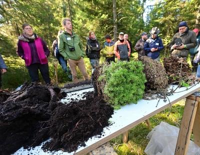 Wissenschaftliche Tagung beleuchtet bisherige Erkenntnisse der Moorrevitalisierung im Erzgebirge-stock-photo