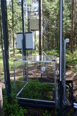 Wissenschaftliche Tagung beleuchtet bisherige Erkenntnisse der Moorrevitalisierung im Erzgebirge-stock-photo