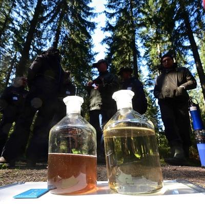 Wissenschaftliche Tagung beleuchtet bisherige Erkenntnisse der Moorrevitalisierung im Erzgebirge-stock-photo