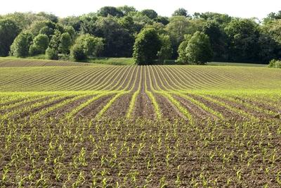 Drought in Belgium 12/05/2025-stock-foto