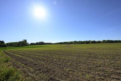Drought in Belgium 12/05/2025-stock-foto