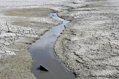 Drought in Belgium 12/05/2025-stock-foto