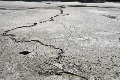 Drought in Belgium 12/05/2025-stock-foto