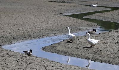 Drought in Belgium 12/05/2025-stock-foto