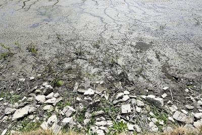 Drought in Belgium 12/05/2025-stock-foto
