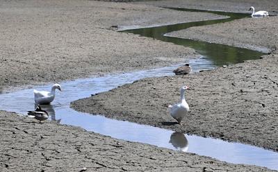 Drought in Belgium 12/05/2025-stock-foto