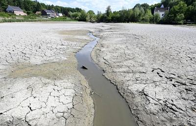 Drought in Belgium 12/05/2025-stock-foto
