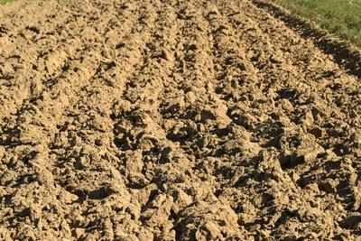 Drought in Belgium 12/05/2025-stock-foto