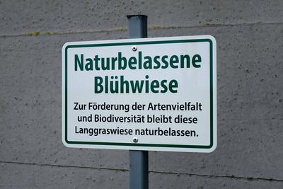 naturbelassene Bl?hwiese vor einer Betonwand-stock-foto