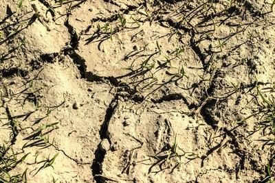 Drought in Belgium 12/05/2025-stock-foto