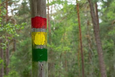 Waldmarkierung mit Ampel-stock-foto