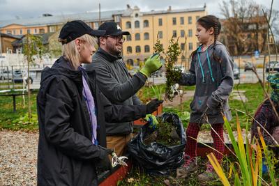 A modern family parents and children, is working together to beautify their front yard with flowers in preparation for t-stock-foto