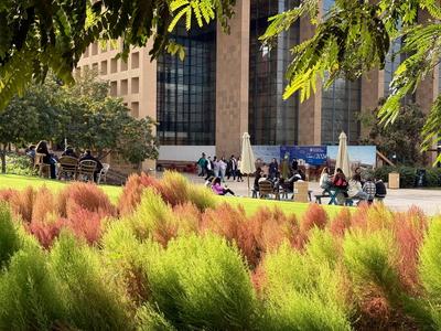 Kairo ?gypten, 20241124, Kairo, AOC, Amerikanische Universit?t in Cairo, The American University in Cairo *** Cairo Egyp-stock-photo