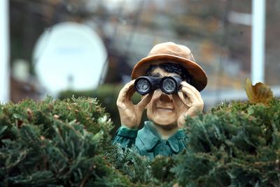 28.11.2020, Berlin - Deutschland. Dekofigur Mann mit Hut schaut mit einem Fernglas ?ber eine Hecke. *** 28 11 2020, Berl-stock-foto