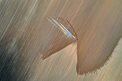 15.5.2025 Gegen die D?rre-stock-foto