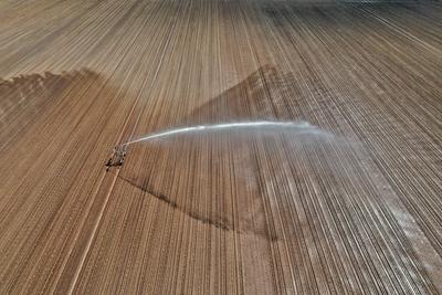 15.5.2025 Gegen die D?rre-stock-foto