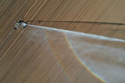 15.5.2025 Gegen die D?rre-stock-foto