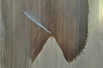 15.5.2025 Gegen die D?rre-stock-foto