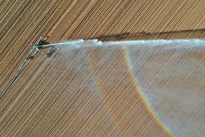 15.5.2025 Gegen die D?rre-stock-foto