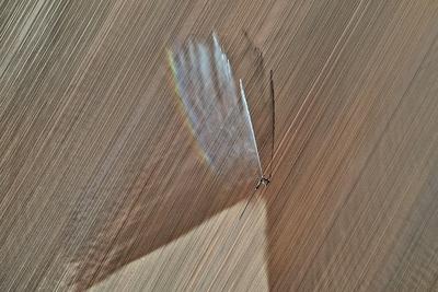 15.5.2025 Gegen die D?rre-stock-foto