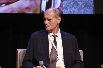 Forest-based solutions panel: advancing circularity and sustainability in value chains at the World Circular Economy Forum (WCEF) in Sao Paulo-stock-foto