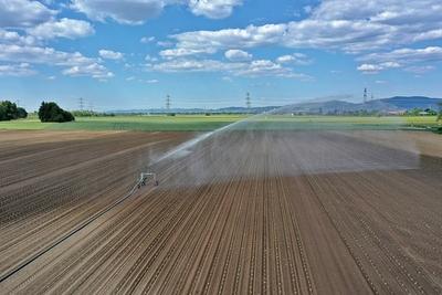 15.5.2025 Gegen die D?rre-stock-foto