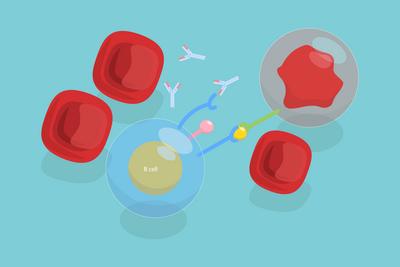 Isometrische 3D-Flachdarstellung von Krebstherapie, Immuntherapie, Antik?rpern zur Bindung an bestimmte Zellen oder Proteine<br>Isometrische 3D-Flachdarstellung von Krebstherapie, Immuntherapie, Antik?rpern zur Bindung an bestimmte Zellen oder Proteine-stock-foto