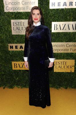 NEW YORK, NY - NOVEMBER 18: Brooke Shields at An Evening Honoring Leonard A. Lauder with Women?s Leadership Award at th-stock-foto
