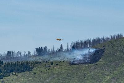Waldbrand Kleiner Winterberg-stock-foto