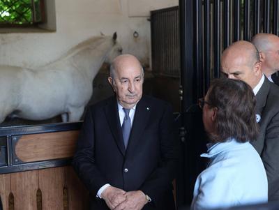 Algerian President, Abdelmadjid Tebboune, and Slovenian President, Nata?a Berce Musar, visit a horse breeding facility-stock-foto
