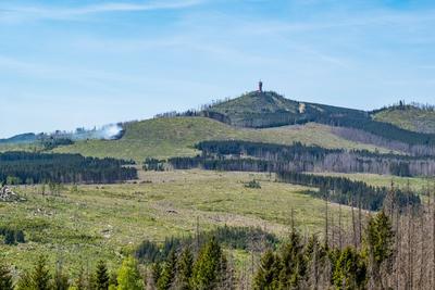 Waldbrand Kleiner Winterberg-stock-foto