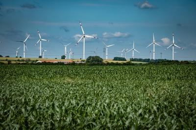 Region Uckermark im Bundesland Brandenburg: Landschaft Landwirtschaft Felder Windr?der Windpark bei Templin Uckermark *-stock-photo