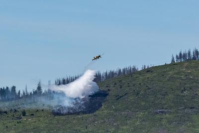 Waldbrand Kleiner Winterberg-stock-foto