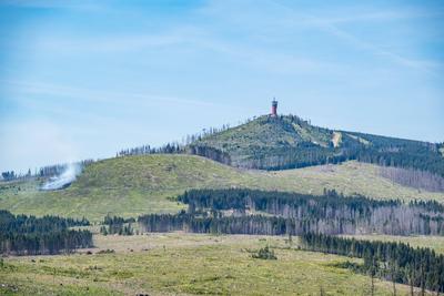 Waldbrand Kleiner Winterberg-stock-foto