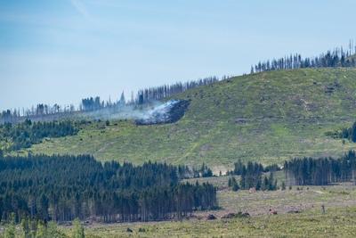 Waldbrand Kleiner Winterberg-stock-foto